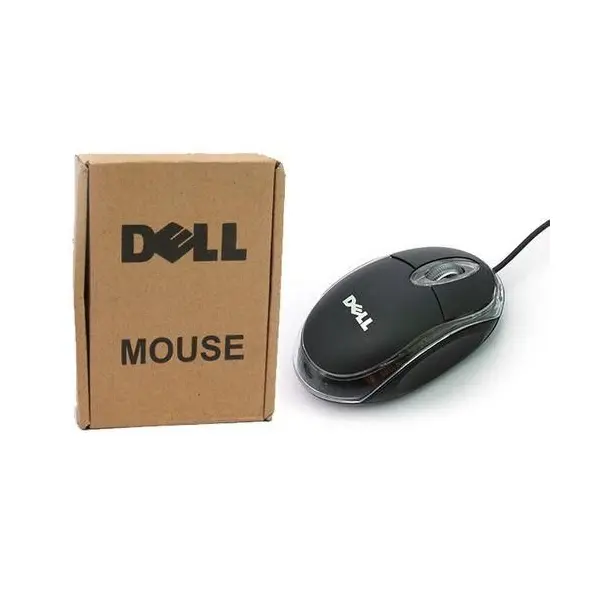 Brown Box Mouse